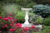 Det beste fuglebadet for hagen din eller terrassen
