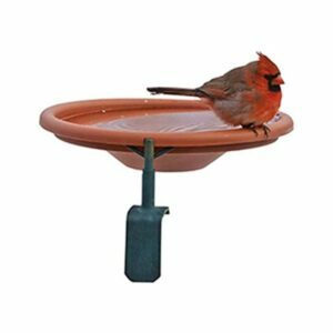 A legjobb madárfürdő lehetőségek: Audubon, Woodink 990997 fedélzetre szerelt madárfürdő