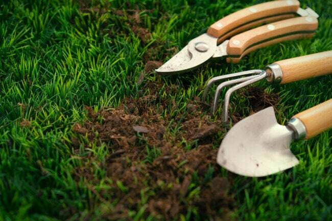 土のある草の上のこてやその他の小さな園芸工具のクローズアップビュー
