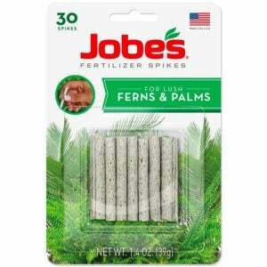 A melhor opção de fertilizante para palmeiras: Jobe's Samambaia e Palm Plant Food Container Spikes