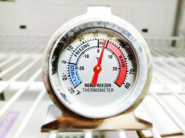 Термометр для холодильника
