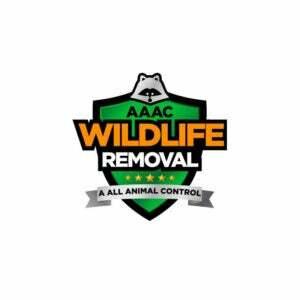 Paras villieläinten poistopalveluvaihtoehto: AAAC Wildlife Removal