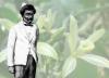 11 afroamerikiečių, kurie pakeitė mūsų sodą