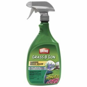 Najlepší prostriedok na ničenie buriny pre kvetinové záhony: Ortho Grass B Gon Burina a Grass Killer