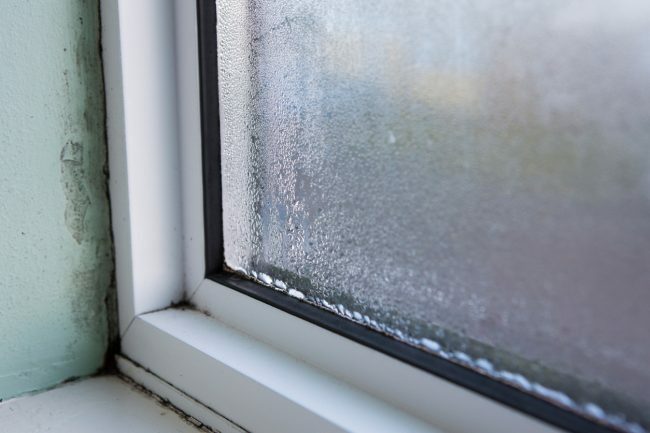 Tipos comuns de mofo em casas perto de janelas