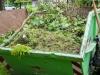 庭の廃棄物の除去のために雇う方法