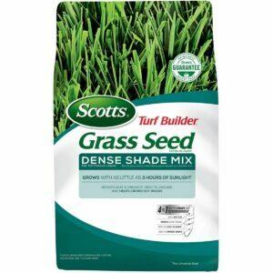 A legjobb magas cserepes fűmagválaszték: Scotts Turf Builder Grass Seed Dense Shade Mix