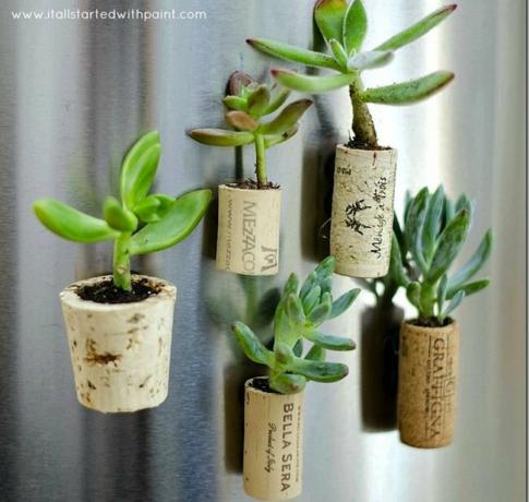 DIY wijnkurk magneet plantenbakken