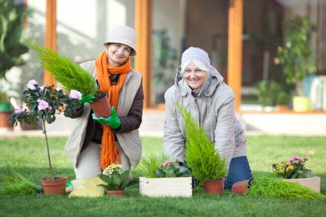 Priete seniori care fac grădină împreună în fața casei. Vedeți mai multe imagini în EXTERIOR și INTERIOR cu aceste MODELE SENIOR. Faceți clic pe orice imagine de mai jos pentru lightbox.