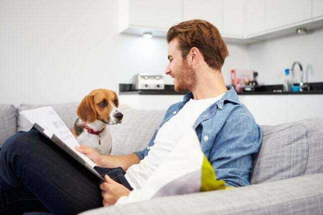Vyras skaito laikraštį, o šuo sėdi ant sofos šalia jo. 
