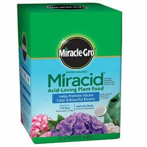 Nejlepší hnojivo pro možnosti hortenzie: Scotts Company Miracle-Gro