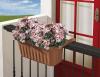 De 10 beste plantenbakken voor kleine balkons van 2023