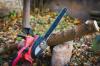 A fa kivágása: 10 biztonsági szabály, amelyet mindig be kell tartania