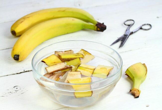 Bananenwasser für Pflanzen