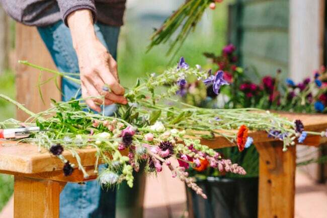 nytt år ny färdighet - gör-det-själv-florist skördar från snittblomsterträdgården