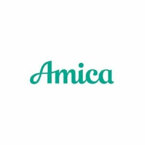 საუკეთესო სახლის მესაკუთრეთა დაზღვევა სამხრეთ კაროლინაში ვარიანტი Amica