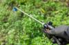 Kako se znebiti žerjavih muh od doma in z vrta