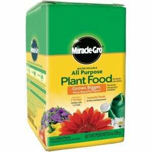 A legjobb növényi táplálék: Miracle-Gro vízoldható univerzális növényi táplálék