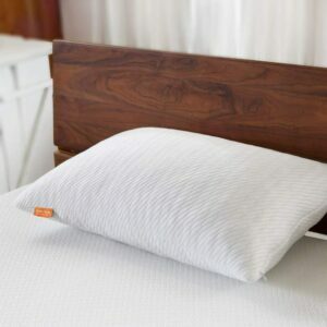 Najbolje opcije jastuka od bambusa Sweetnight