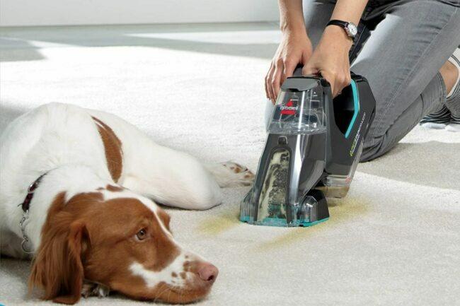 O melhor limpador de carpete para opção de animais de estimação