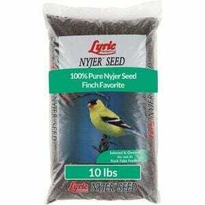 Die beste Vogelfutter-Option: Lyric Nyjer Seed Wild Bird Seed Finch Food