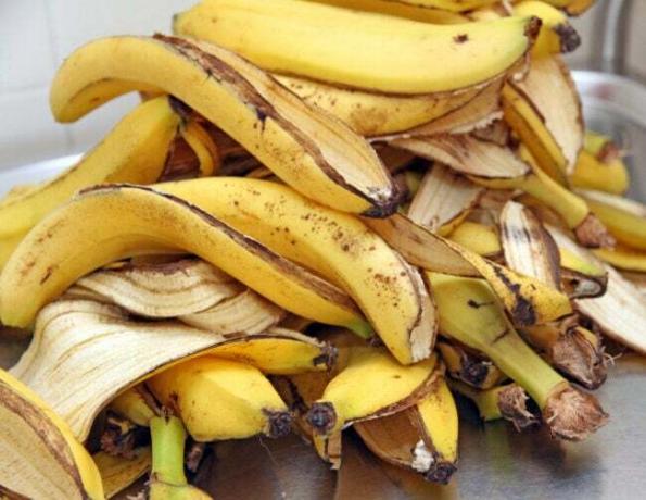 Bananenwasser für Pflanzen