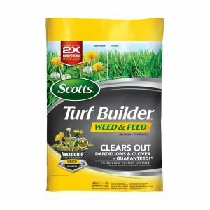 A melhor opção de erva daninha e ração: Scotts Turf Builder Weed and Feed