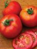 8 typer tomater alle hjemmegartnere bør kjenne til