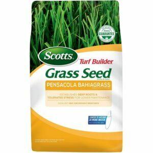 A melhor opção de grama para solo arenoso: Scotts Turf Builder Grass Seed Pensacola Bahiagrass