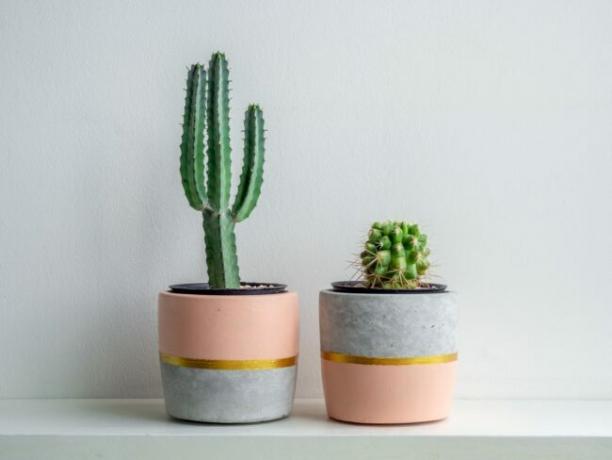 To pottekaktusplanter i moderne lyserøde og grå vaser
