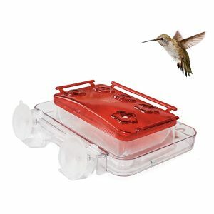 Melhores opções de alimentador de colibri: Sherwoodbase Cuboid - alimentador de colibri com janela à prova de insetos