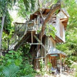 De 15 beste Airbnbs in Florida Optie Boomhut Canopy Room