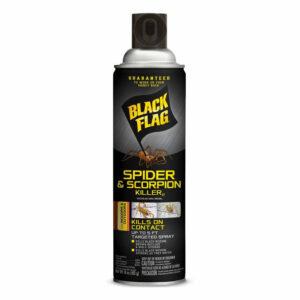 Cea mai bună opțiune pentru ucigașul Scorpionului: spray cu aerosoli Spider Black & Spider Scorpion Killer