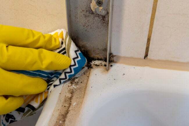 Mravi u kupaonici
