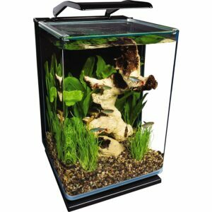 Лучший вариант аквариума: портретный стеклянный светодиодный аквариум MarineLand