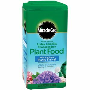 Miracle-Gro vannløselig Azalea, Camellia Plant Food