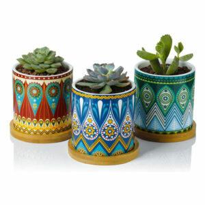A melhor opção de vasos para plantas de babosa: vasos de plantas suculentas de Greenaholics mandala de 3 polegadas