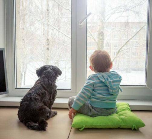 Беба са псом гледа кроз прозор зими. Редак призор. Концепт пријатеља дечака и кућних љубимаца. Тонирана фотографија са простором за копирање.