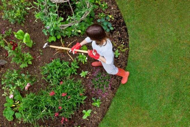 Luftfoto av kvinne som luker og luker en hage med en hakke