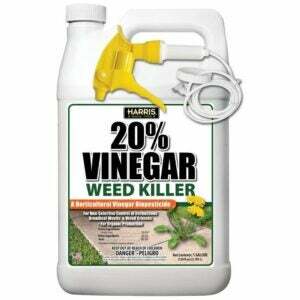 Nejlepší možnost hubení plevele pro květinové záhony: Harris Vinegar Organic zabíječ plevele a trávy
