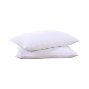 Найкращий варіант подушок King King: біла подушка з натурального гусячого пуху з пуху