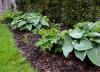 Geben Sie Ihrem Garten einen Schub mit diesem Leitfaden für Bodenverbesserungen
