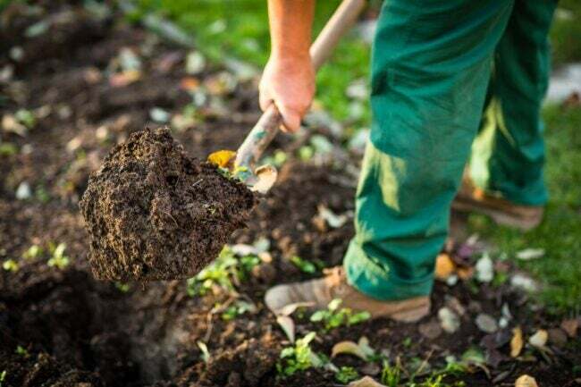 녹색 바지를 입은 사람이 높은 침대 정원에서 흙을 퍼내고 있습니다.