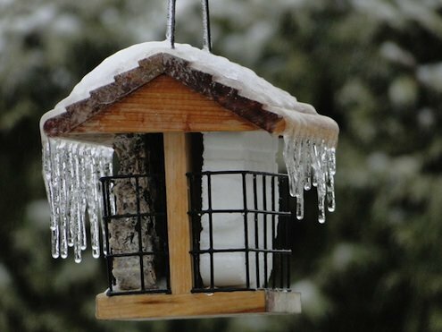 pingentes de gelo no telhado do alimentador de pássaros