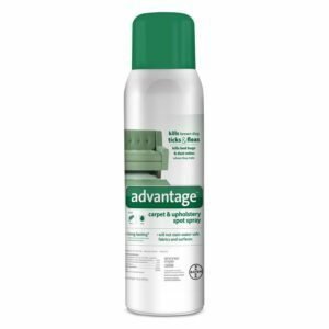 A melhor opção de spray contra pulgas: spray local Advantage para carpetes e estofados