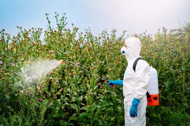 Homem em roupas de trabalho de proteção pulverizando herbicida nas plantas
