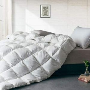 საწოლების საუკეთესო ვარიანტები: APSMILE Luxurious All Seasons European Goose Down Comforter