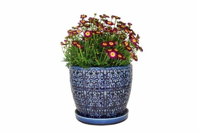 Los mejores regalos para el Día de la Madre para comprar en Ace Hardware Option Trendspot Jardinera de cerámica mediterránea