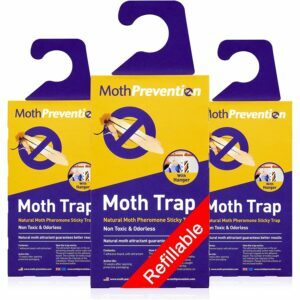 最高の防虫剤オプション：MothPrevention強力な服とカーペットの蛾の罠