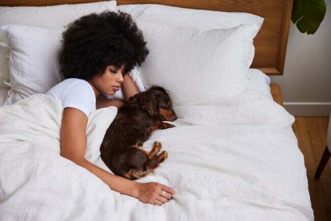 Ung afroamerikansk kvinna och hennes söta lilla tax sover i sängen tillsammans tidigt på morgonen